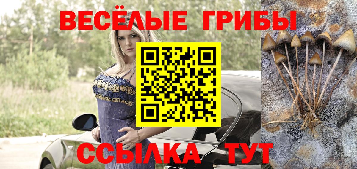 Псилоцибиновые грибы MAGIC MUSHROOMS  Вход с VPN  Кемерово 